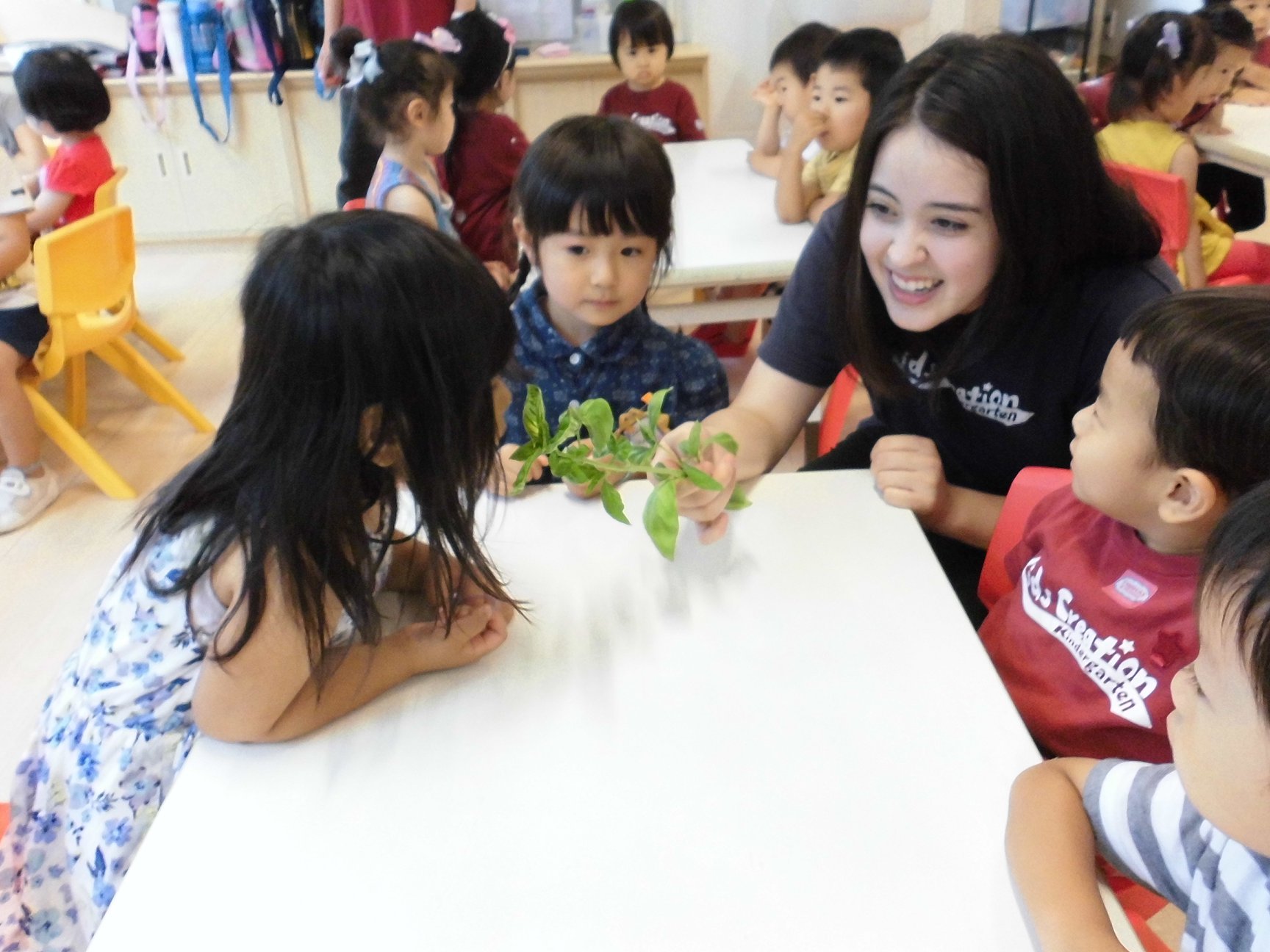 英語幼稚園 KidsCreation Kindergarten キッズクリエーション つくば