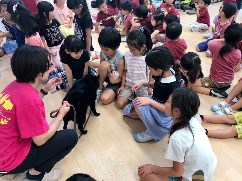 英語幼稚園 KidsCreation Kindergarten キッズクリエーション つくば