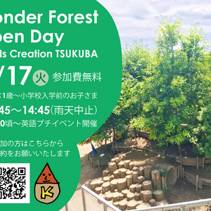 Wonder Forest Open Day